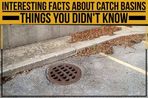 Interesting Facts About Catch Basins: Things You Didn’t Know